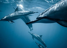 极速赛车开奖记录-【中超】多拉多世界波+造点 建业2比1泰达夺联赛第9